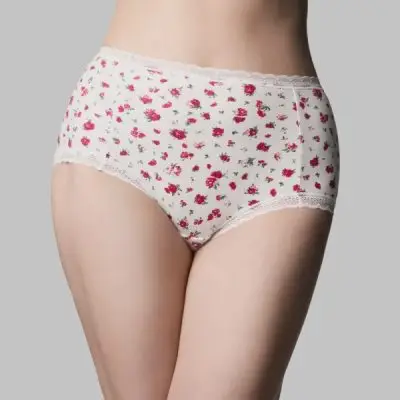 The Knicker Cotton Classic Full Brief - Rosebud White