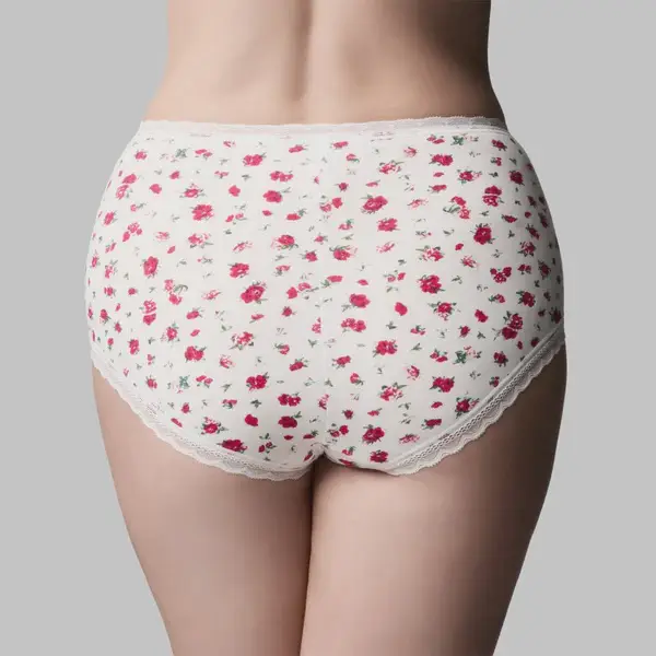 The Knicker Cotton Classic Full Brief - Rosebud White - Image 2