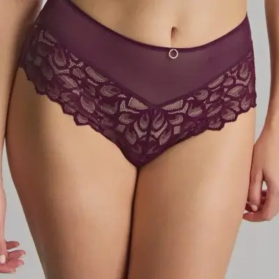 Panache Allure Deep Brief - Plum